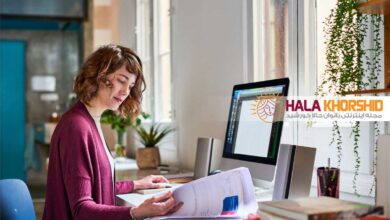 دلایل شکست کسب و کار خانگی بانوان و راه حل ها